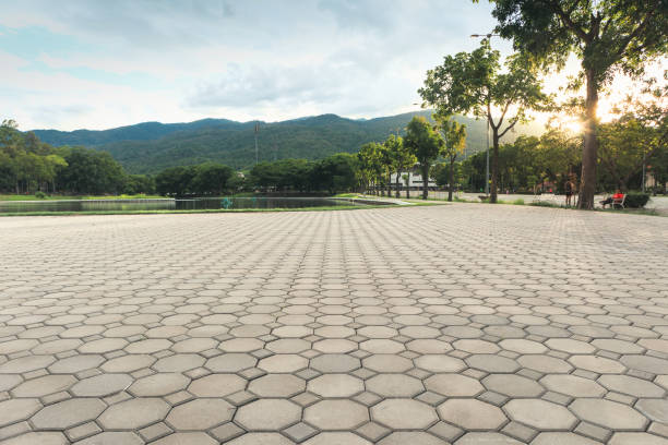 Best Professional Driveway Pavers  in Southport, NC