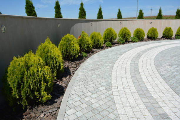 Best Residential Paver Driveway  in Southport, NC